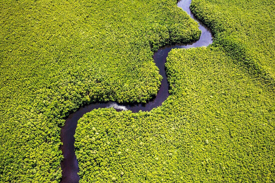 France, Caribbean, Lesser Antilles, Guadeloupe, Grand Cul-de-Sac Marin, heart of the Guadeloupe National Park, Grande-Terre, Morne-à-l'Eau, Canal Cove, aerial view on the widest mangrove belt of the Lesser Antilles, Biosphere Reserve of Guadeloupe, here the Canal des Rotours, dug over nearly 6 km at the beginning of the 19th century (1826-1830) by hand of Men, slaves, to allow the drainage of the plain\n