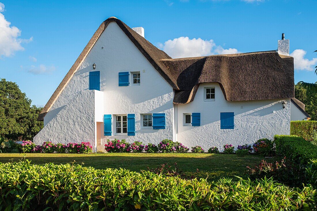 France, Loire-Atlantique, Briere Regional Natural Park, Saint-Lyphard, Breca hamlet\n