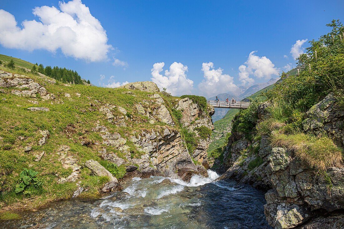 Frankreich, Hautes Alpes, Nationalpark Ecrins, Champsaur, Drac Noir-Tal, Prapic, Fußgängerbrücke über den Drac Noir bei Saut du Laire