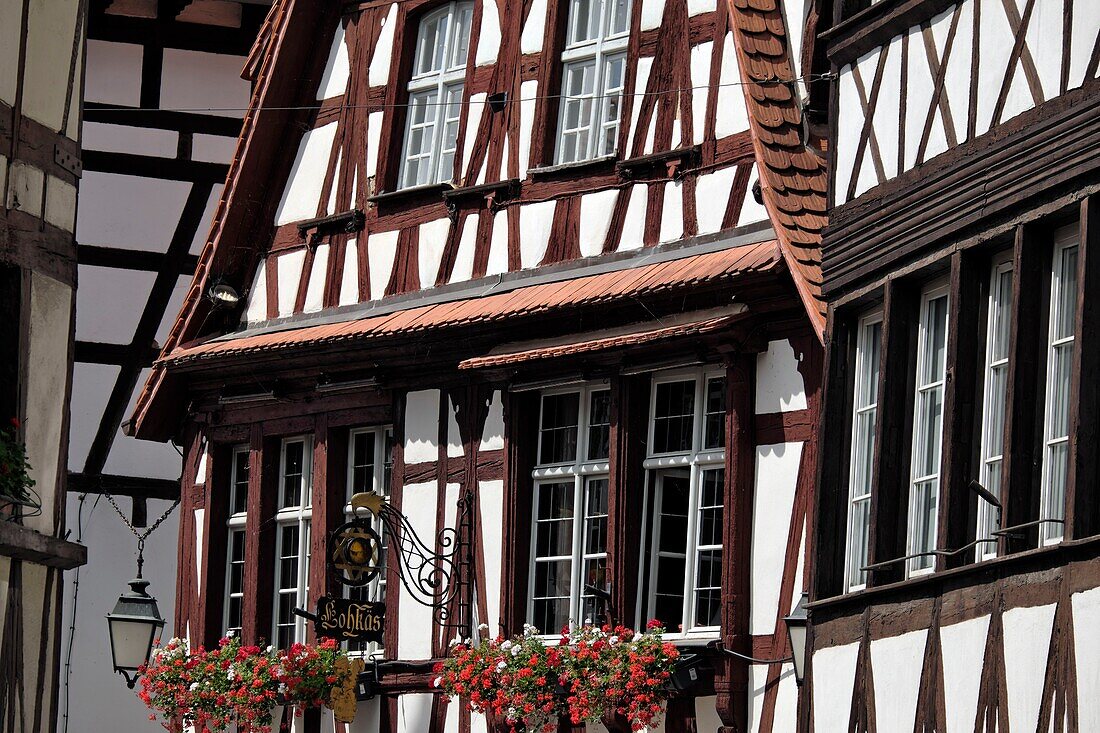 Frankreich, Bas Rhin, Straßburg, Altstadt, die von der UNESCO zum Weltkulturerbe erklärt wurde, Rue du Bain aux Plantes, Fachwerkhaus aus dem Jahr 1676, Restaurant oder Weinstube Lohkas, Schild, Emblem der Bierbrauer, der Stern um den Schimmel