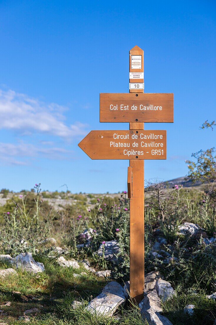 Frankreich, Alpes Maritimes, Regionaler Naturpark der Prealpes d'Azur, Gourdon, Cavillore Pass (1030 m), Bake n ° 10 auf dem Fußgängerweg des GR51