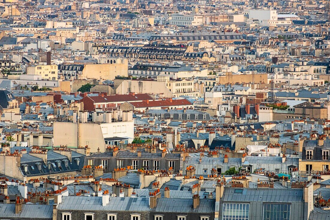 France, Paris, view on the rooftops of Paris en Zinc\n