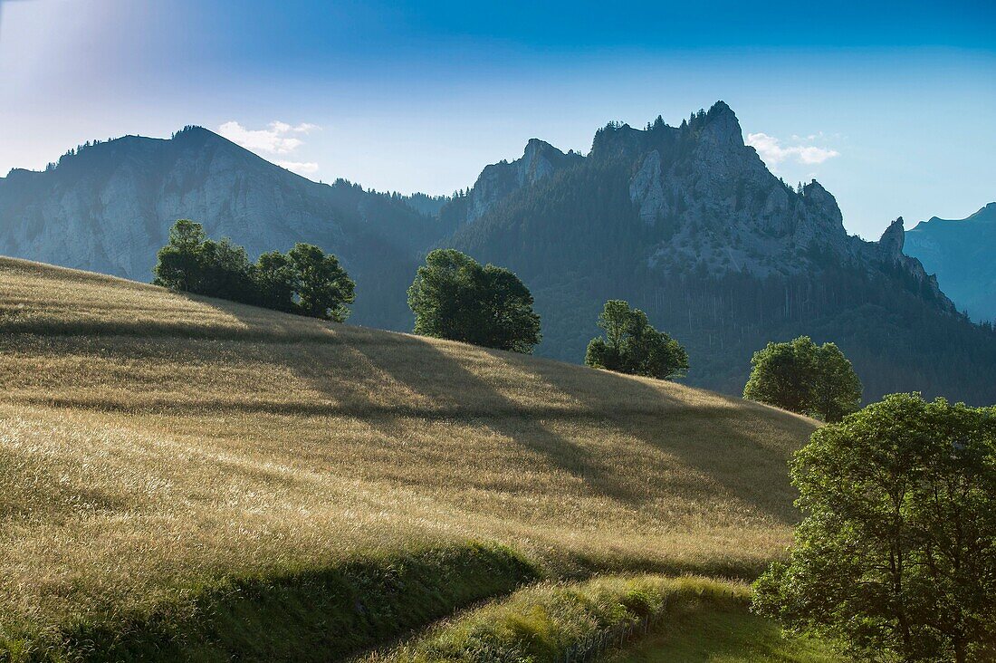 France, Haute Savoie, massif of Chablais, Bernex, view of the peaks of the peak of Memizes, and Mount Cesar from Mount Benand at sunrise\n