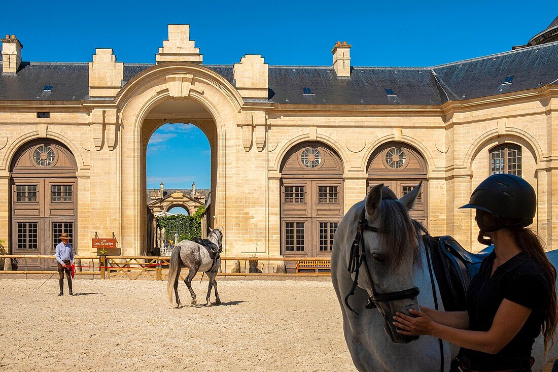 France, Oise, Chantilly, Chantilly Castle, the Great Stables, rider training his horse in the carousel under the glance of a horsewoman\n