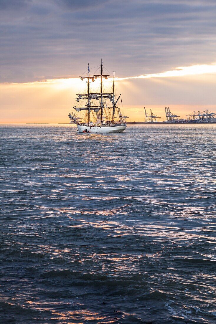 Frankreich, Calvados, Honfleur, Armada 2019, Grande Parade, Le Français, Dreimastschoner, der in der untergehenden Sonne die Seine-Mündung verlässt, mit dem Hafen von Le Havre im Hintergrund