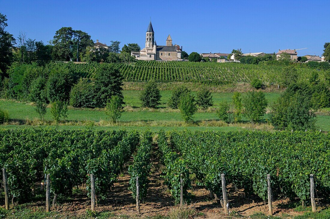 Frankreich, Saone et Loire, Chanes, Weinberge auf einem Hügel mit einem Dorf im Hintergrund