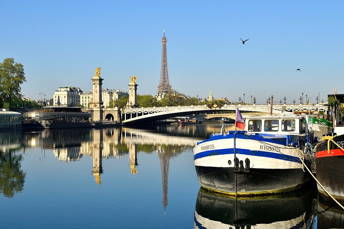 France, Paris, area listed as World Heritage by UNESCO, the Alexander III bridge and the Eiffel Tower on the background\n