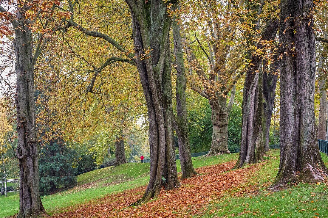 Frankreich, Paris, Bezirk Parc-de-Montsouris, Montsouris-Park im Herbst