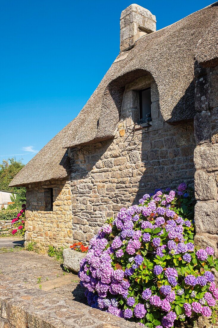 France, Finistere, Aven Country, Nevez, Kerascoet thatched houses village (16th century)\n