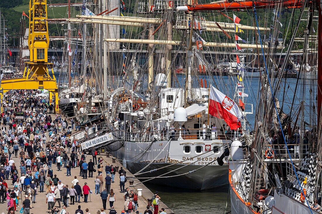 Frankreich, Seine Maritime, Rouen, Armada von Rouen 2019, Große vertäute Segelboote Quai Jean de Béthencourt