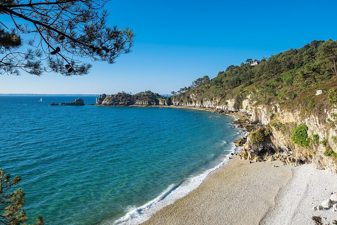 France, Finistere, Armorica Regional Natural Park, Crozon Peninsula, Pointe de Saint-Hernot\n