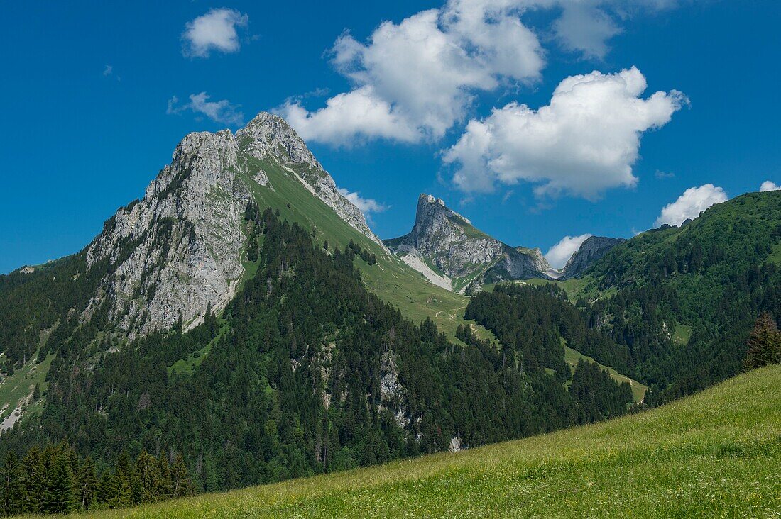 France, Haute Savoie, massif of Chablais, Bernex, the Oche and the Oche from the meadow Richard\n