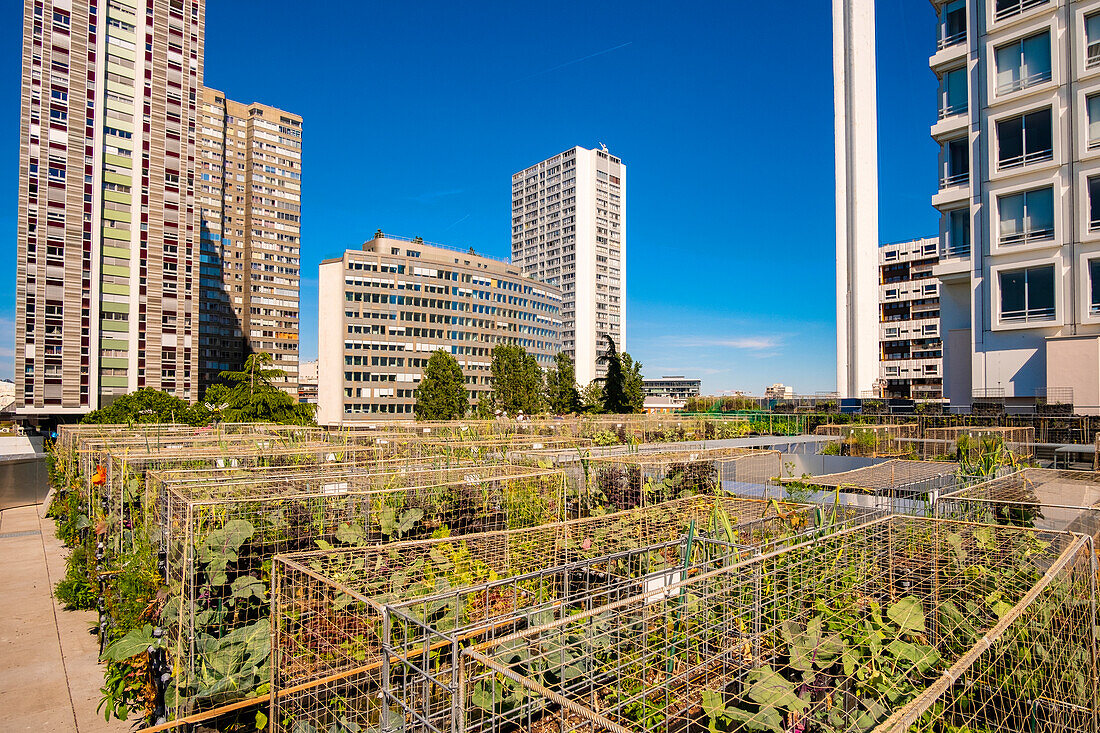 Frankreich, Paris, städtische Landwirte Peas & Love, ein neues Nutzgartenkonzept auf dem Dach der Gebäude, hier auf dem Yooma Hotel an der Front de Seine