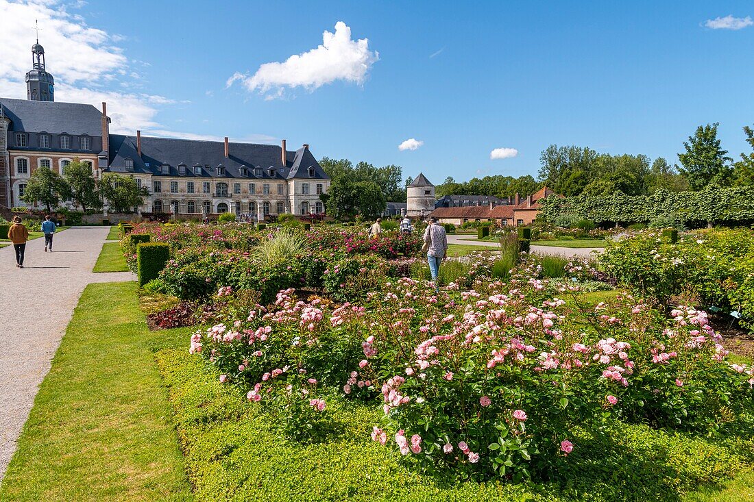 Frankreich, Somme, Authie-Tal, Argoules, die Gärten von Valloires und die Zisterzienserabtei, botanische und landschaftliche Gärten mit einem schönen Rosengarten