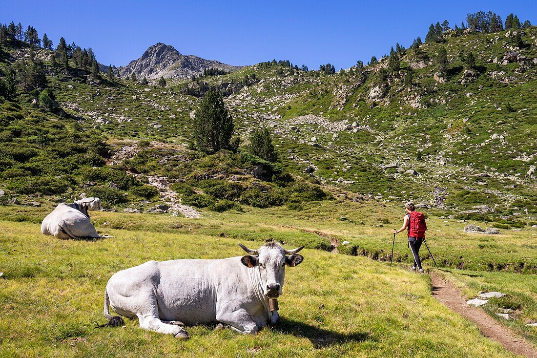 Frankreich, Hautes Pyrenees, Wanderweg GR10, Wanderung zum Madamete-Pass (2509m)