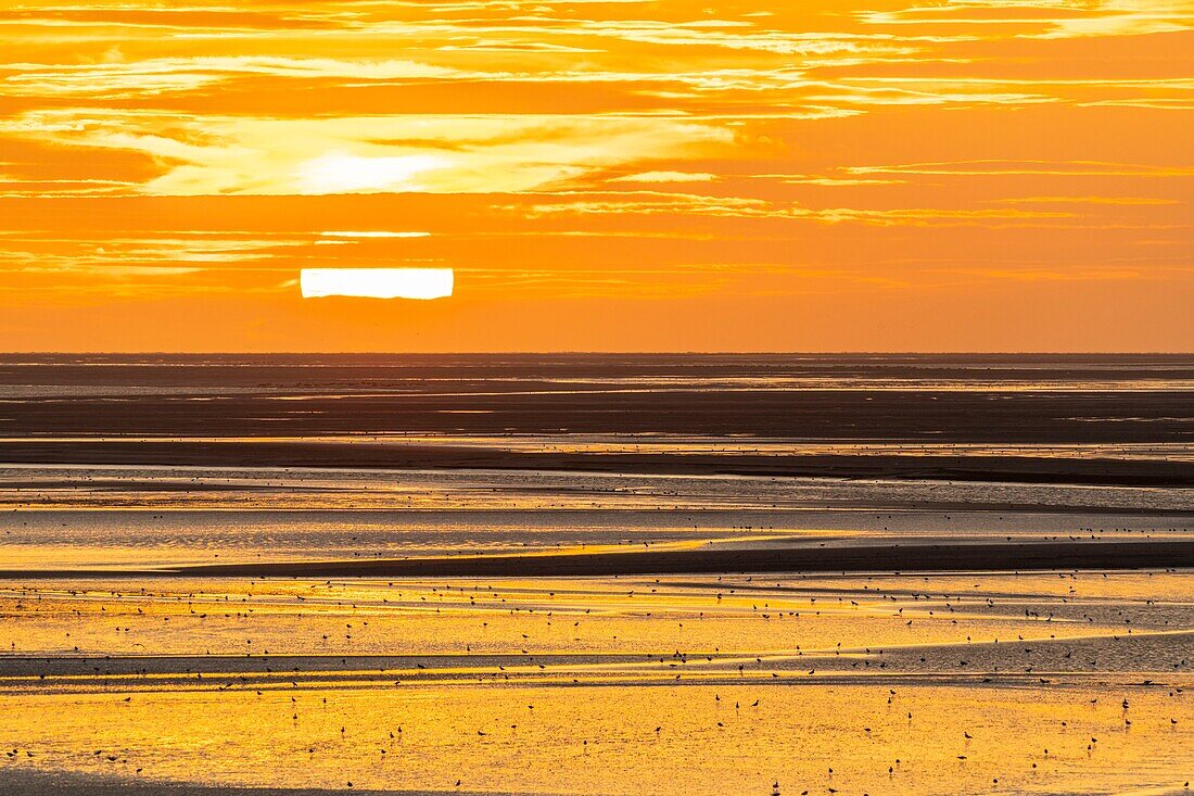 Frankreich, Somme, Somme-Bucht, Naturschutzgebiet der Somme-Bucht, Le Crotoy, Dämmerung am Strand von Le Crotoy an einem Sommerabend, während Touristen kommen, um den Sonnenuntergang zu bewundern