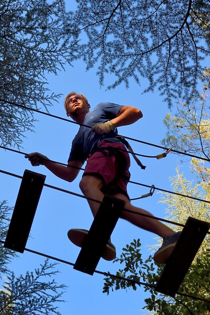 France, Var, Flassans-sur-Issole, site of Aoubré adventure Nature, tree climbing\n