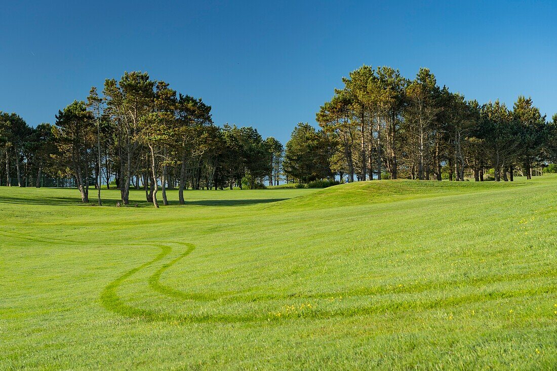 France, Seine Maritime, Etretat, Cote d'Abatre, the golf\n