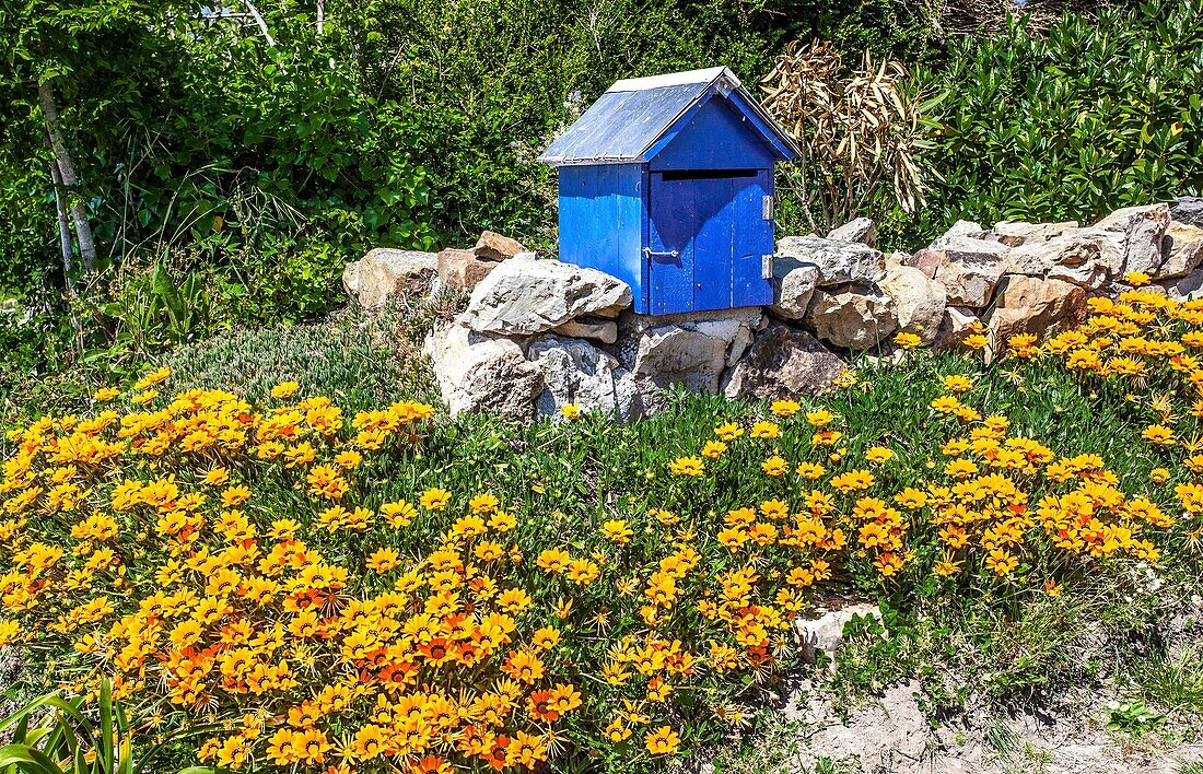 Frankreich, Finistere, Presqu'i?le de Crozon, Dorf Montougard, blauer Briefkasten in einem Blumenbeet