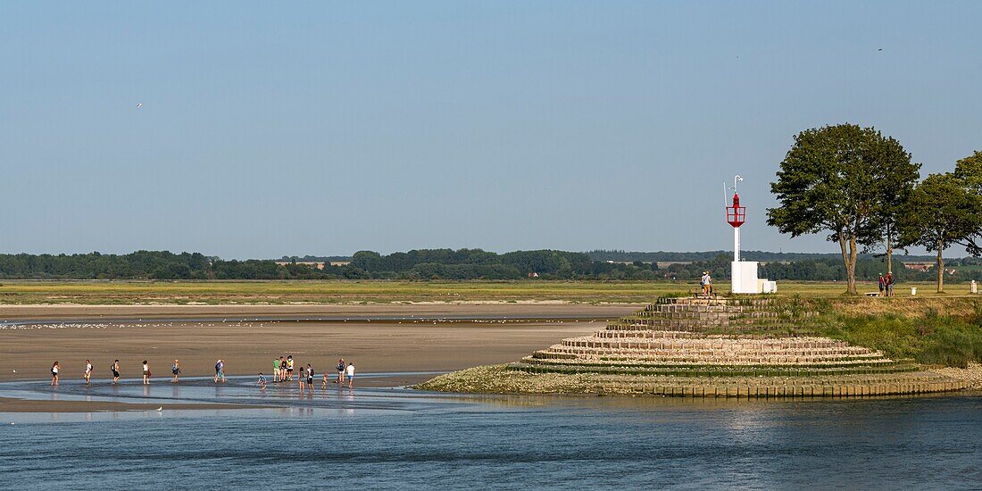 France, Somme, Somme Bay, Saint Valery sur Somme, a group of tourists in the salted meadows along the Somme, returning from a crossing of the bay with a nature guide\n