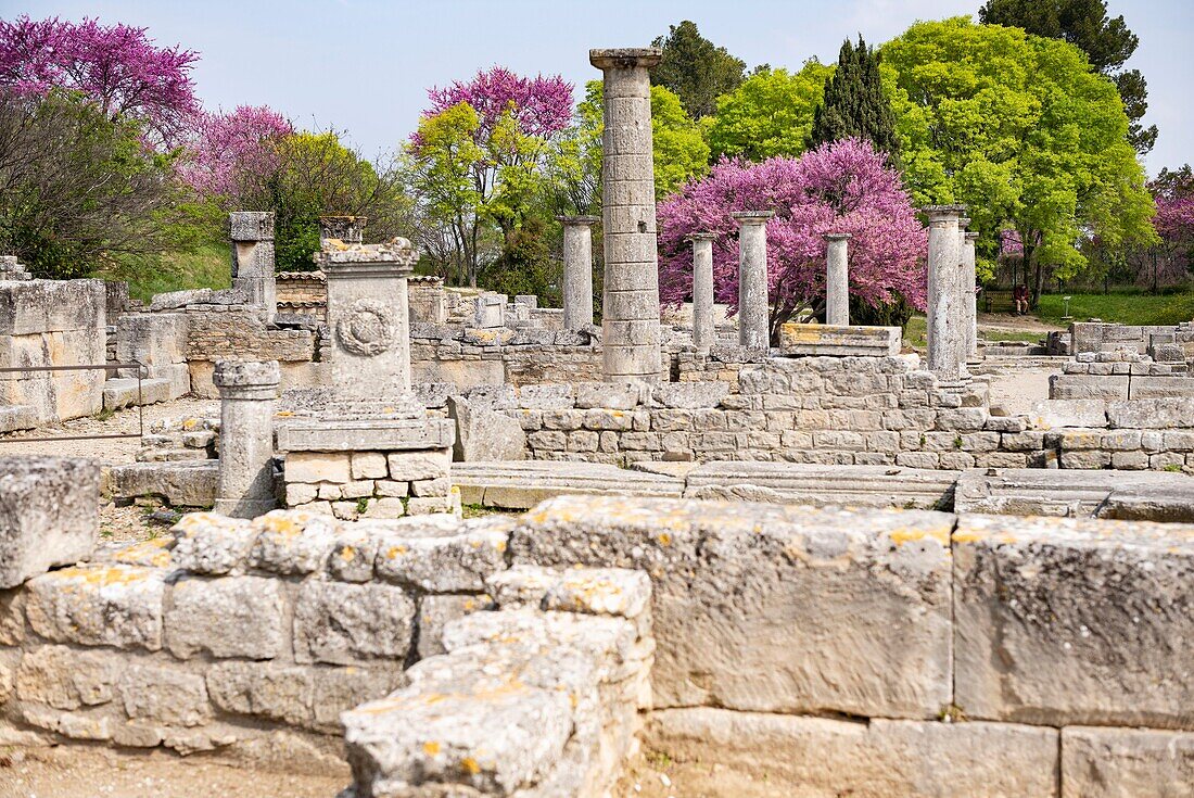 France, Bouche du Rhone, Saint Remy de Provence, Alpilles mountains, Glanum antique city\n