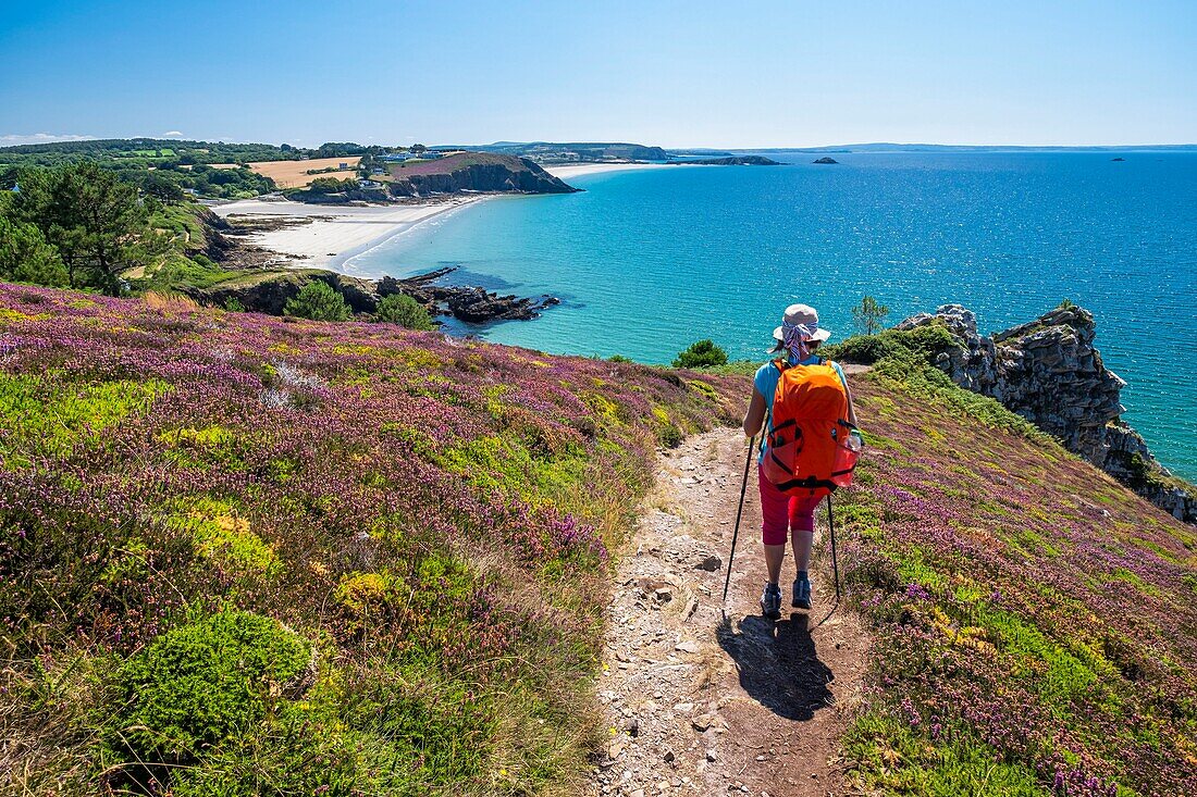 France, Finistere, Armorica Regional Natural Park, Crozon Peninsula, on the GR 34 hiking trail or customs trail, Postolonnec beach\n