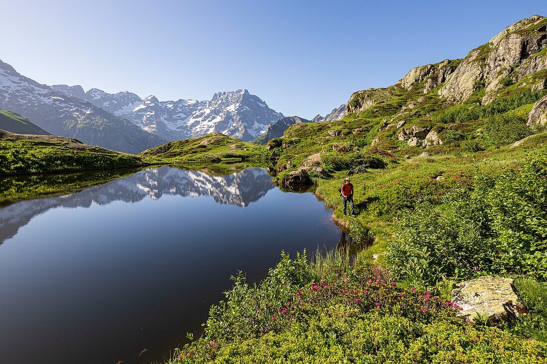 France, Hautes Alpes, national park of Ecrins, valley of Valgaudemar, La Chapelle en Valgaudemar, reflection of Sirac (3441m) on the lake of Lauzon (2008m)\n