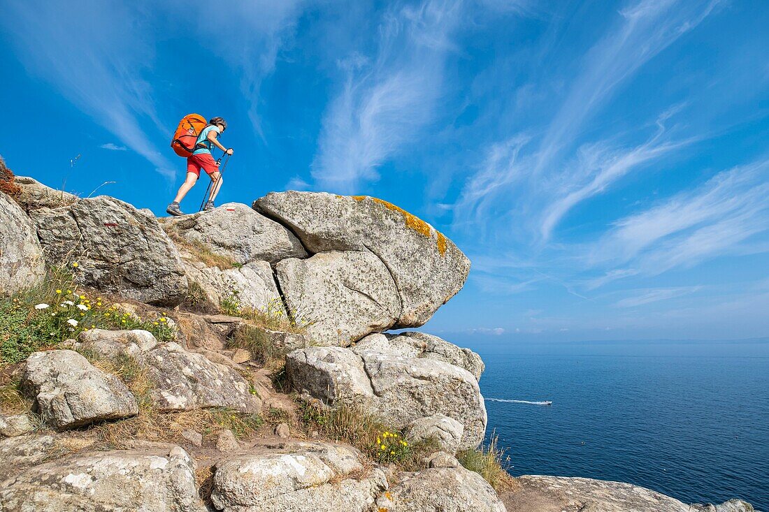 France, Finistere, Douarnenez, the GR 34 hiking trail or customs trail between Pointe de Leydé and Roches Blanches\n