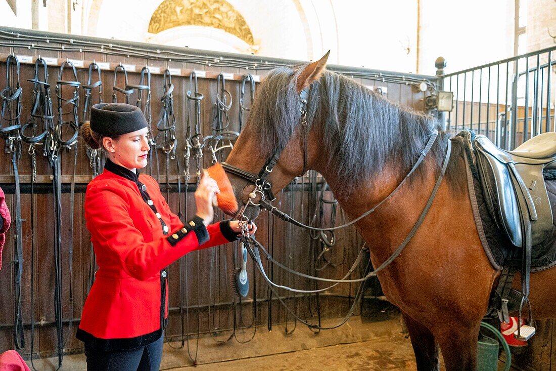 France, Oise, Chantilly, Chateau de Chantilly, the Grandes Ecuries (Great Stables), Estelle, rider of the Grandes Ecuries, cleans the bites of his horse\n