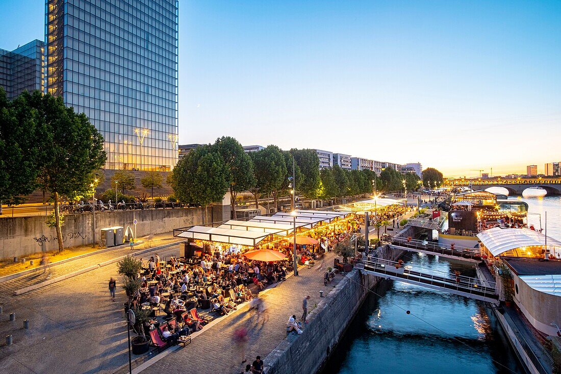 Frankreich, Paris, das Seine-Ufer und die französische Nationalbibliothek (BNF) Francois Mitterrand des Architekten Dominique Perrault