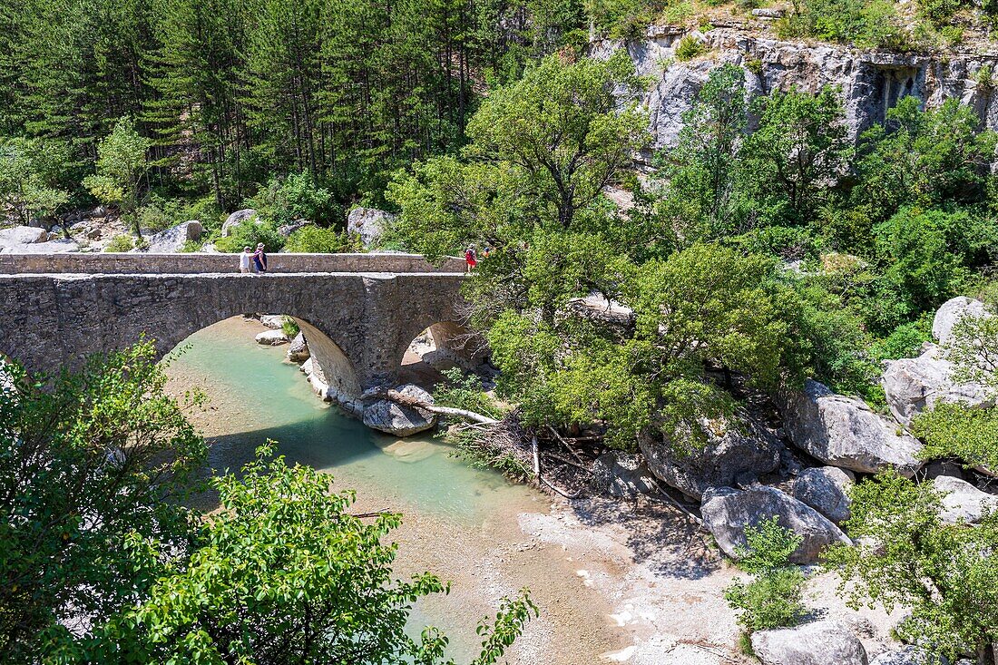 Frankreich, Hautes-Alpes, regionaler Naturpark der Baronnies provençales, Val Buëch-Méouge, Gorges de la Méouge, romanische Brücke aus dem vierzehnten Jahrhundert