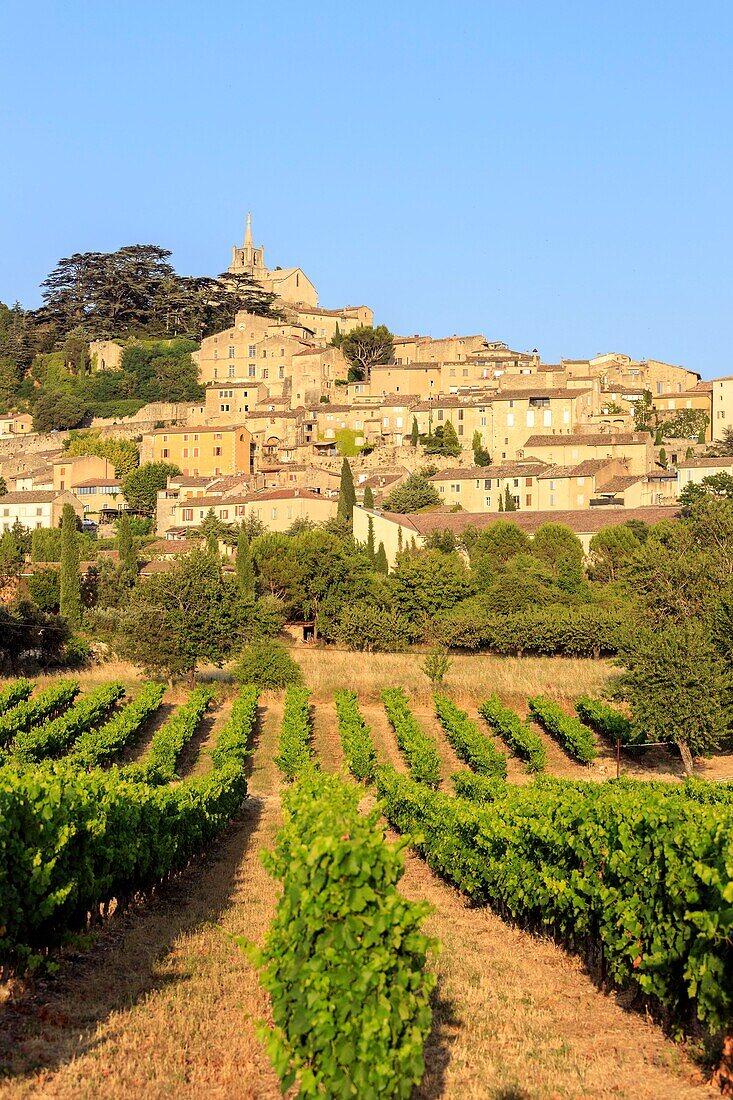 Frankreich, Vaucluse, Regionales Naturschutzgebiet Luberon, Bonnieux