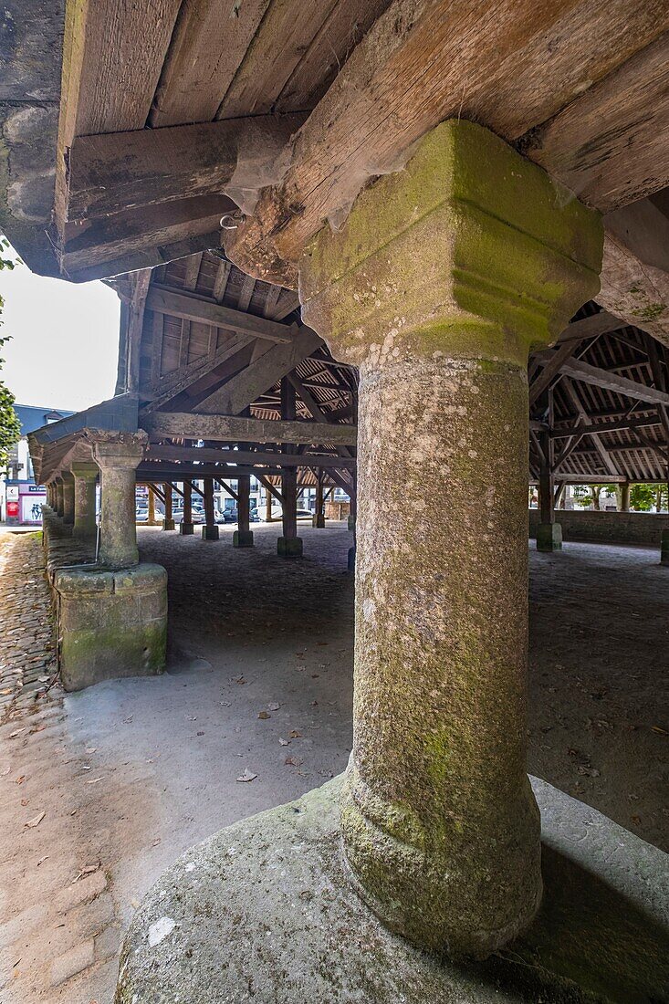 France, Morbihan, Le Faouet, the sixteenth century covered market\n