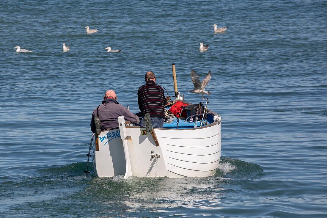 Frankreich, Pas de Calais, Audinghen, Cap Gris Nez, Flobart, typisches Strandboot der Opalküste