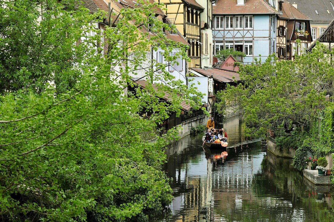 France, Haut Rhin, Colmar, old town, from the Saint Pierre bridge, half timbered houses, boat ride on the Lauch river\n