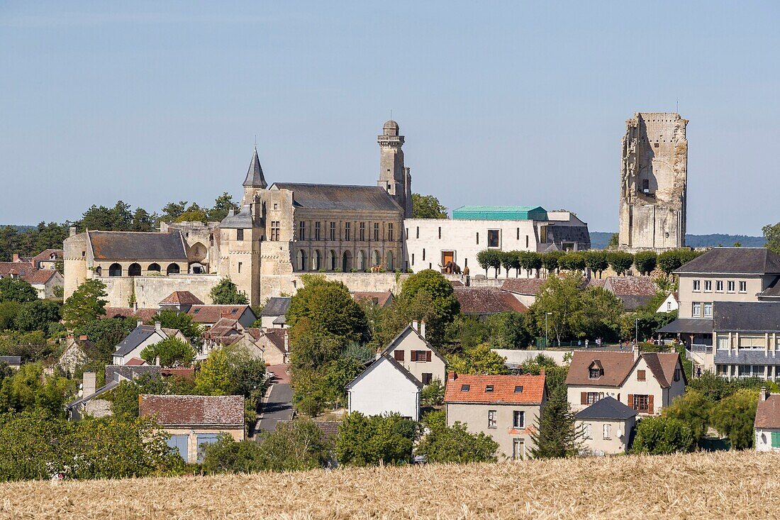 Frankreich, Indre et Loire, Le Grand Pressigny, Schloss Grand Pressigny, Museum für die Vorgeschichte von Grand Pressigny