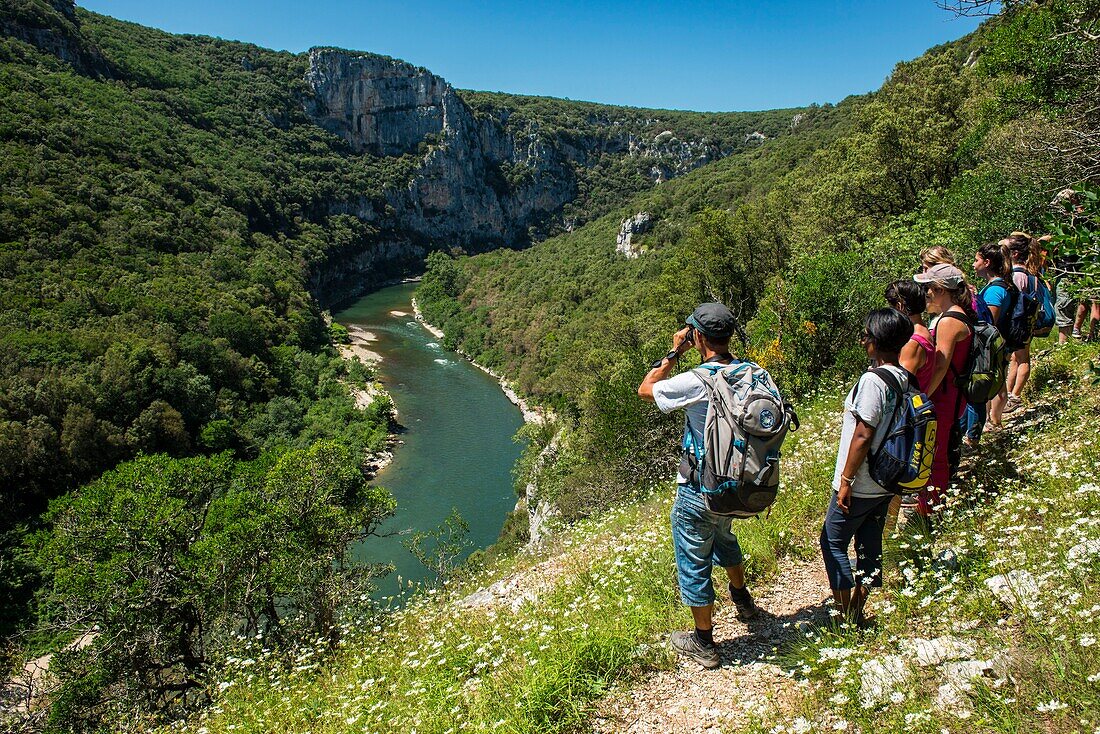 France, Ardeche, Reserve Naturelle des Gorges de l'Ardeche, Saint Remeze, accompanied hike with a guard of the Syndicat mixte de Gestion des Gorges de l'Ardeche\n