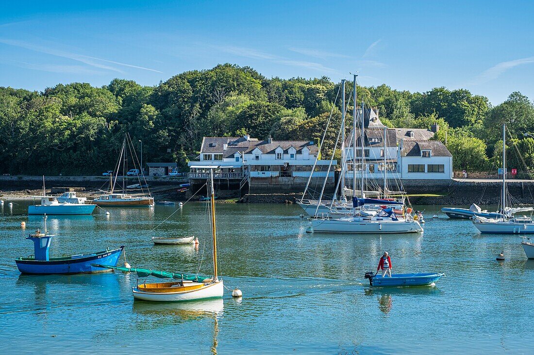 France, Finistere, Riec-sur-Belon, Belon harbour on Belon river\n