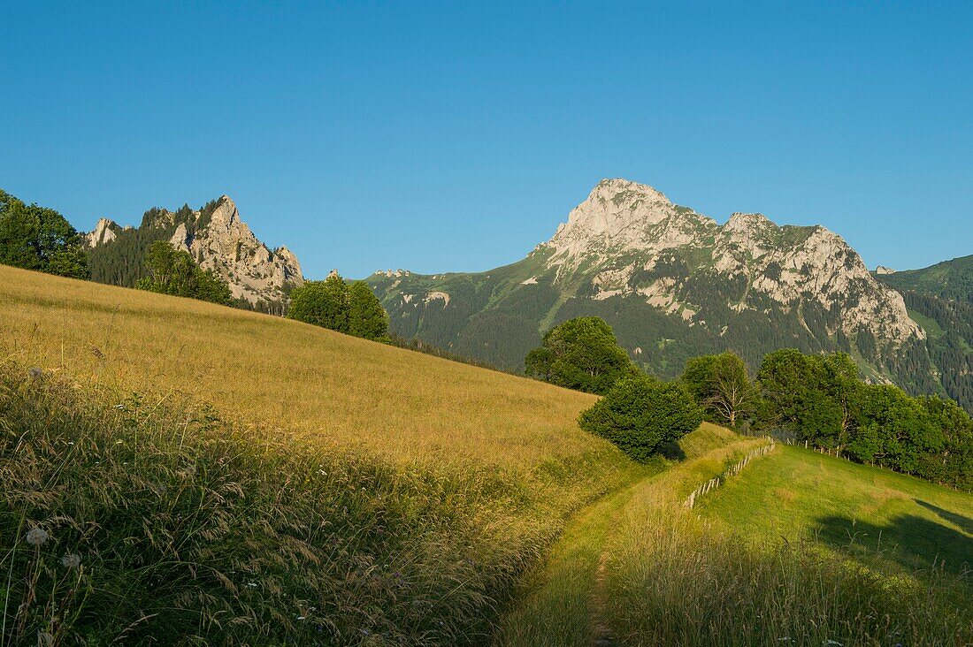 Frankreich, Haute Savoie, Chablais-Massiv, Bernex, Blick auf die Gipfel des Mont Cesar und der Dent d'Oche vom Benand aus bei Sonnenuntergang