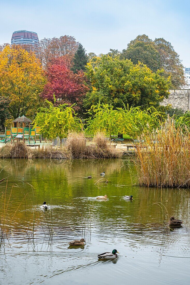 Frankreich, Paris, Stadtviertel Maison Blanche, Kellermann-Park im Herbst