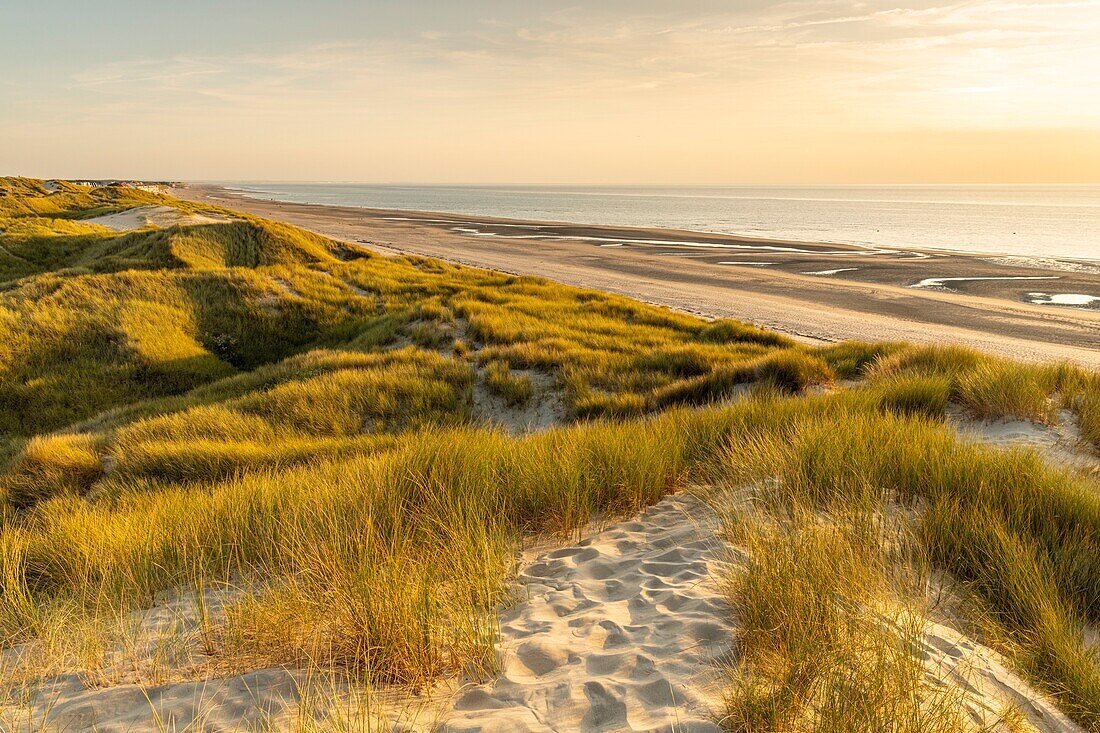 Frankreich, Somme, Fort-Mahon, Die Dünen zwischen Fort-Mahon und der Bucht von Authie bei Sonnenuntergang