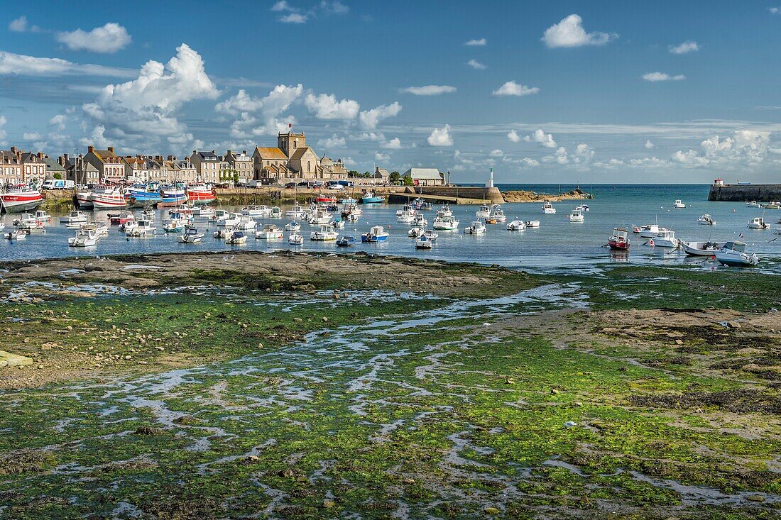 France, Manche, Barfleur, labeled The Most Beautiful Villages of France, fishing port stranding\n