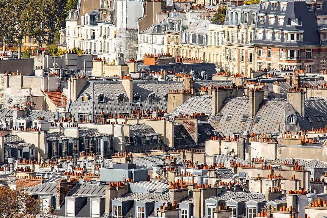 France, Paris, 4th arrondissement, the rooftops of Paris\n