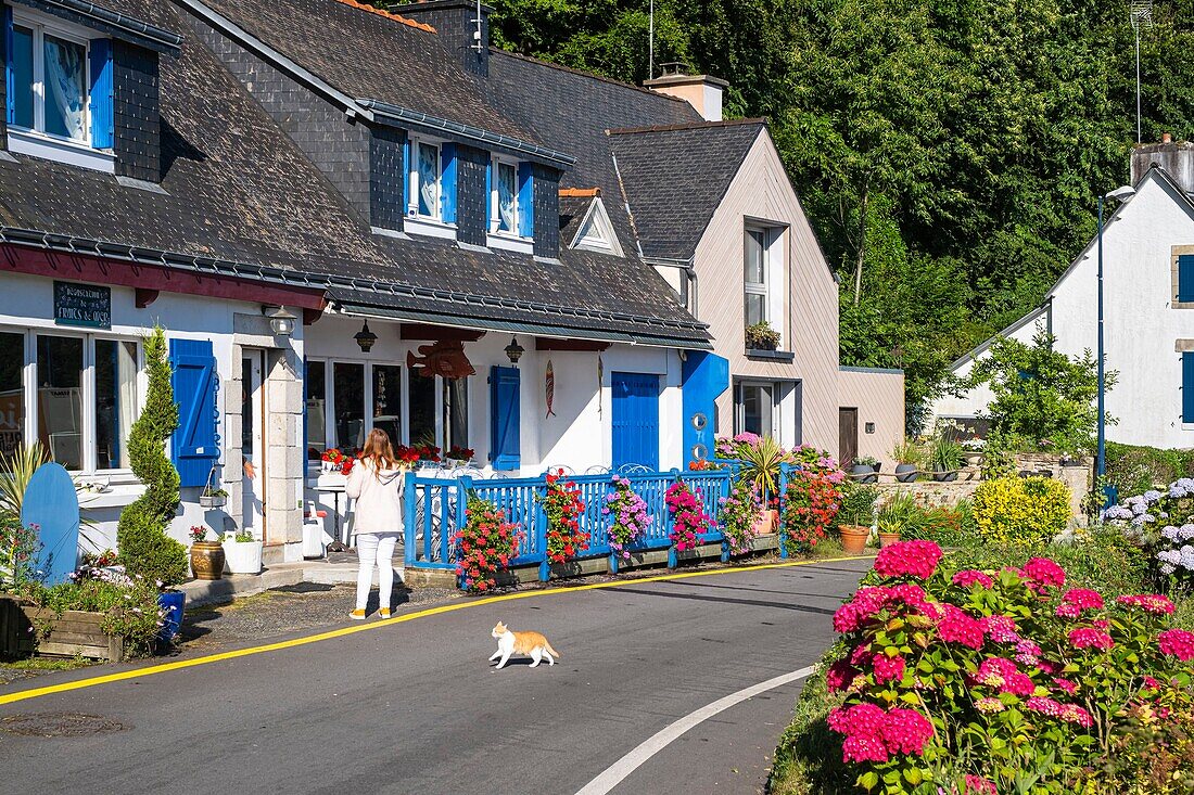 Frankreich, Finistere, Moelan-sur-Mer, Hafen von Belon