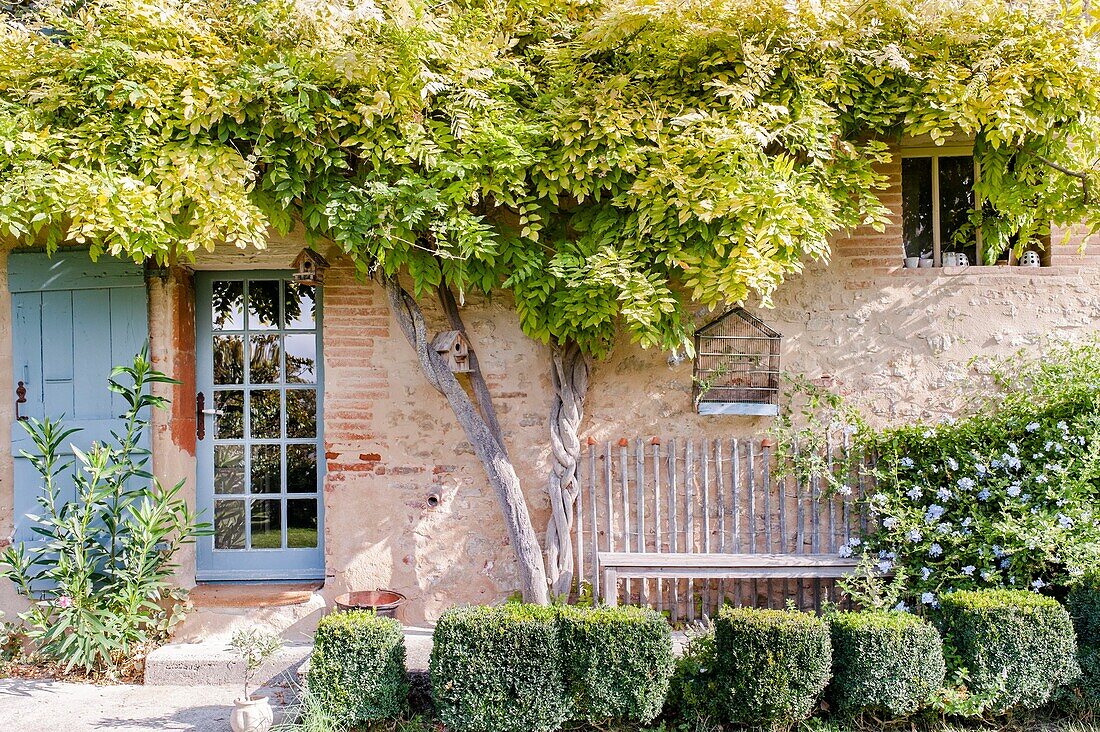 France, Haute-Garonne, Loubens-Lauragais, story :  Charming and autantic 16th century farmhouse \n