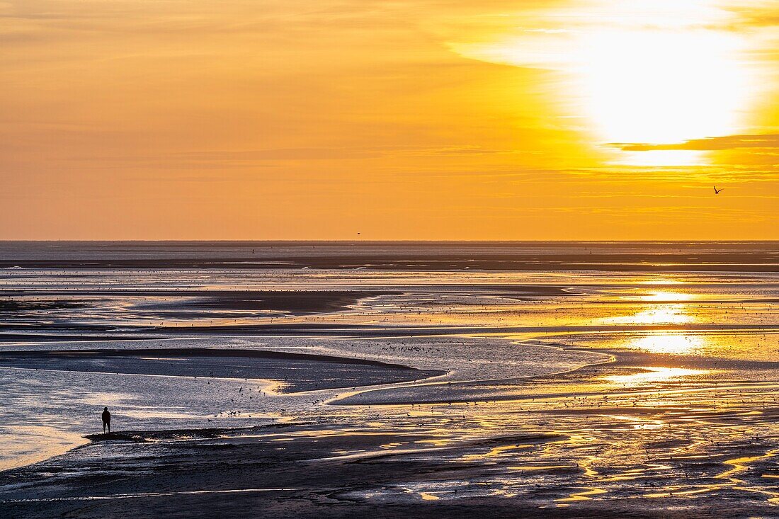 France, Somme, Somme Bay, Nature Reserve of the Somme Bay, Le Crotoy, Twilight on the beach of Le Crotoy a summer evening while tourists come to admire the sunset\n