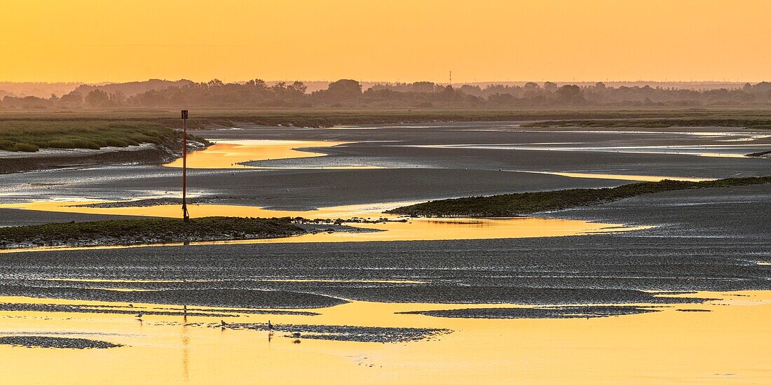 Frankreich, Somme, Somme-Bucht, Saint Valery sur Somme, Sonnenaufgang am Kanal der Somme bei Ebbe