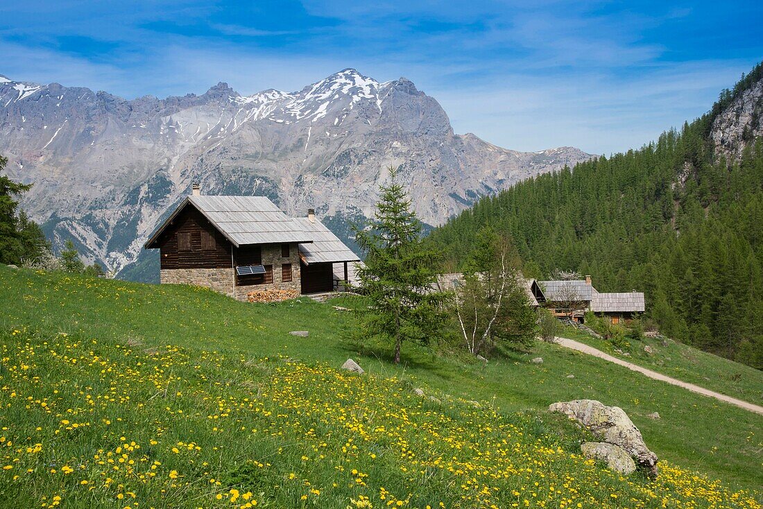 France, Hautes Alpes, massif of Oisans, national park of Ecrins, Vallouise, Puy saint Vincent the hamlets of Narreyroux and its traditional houses with roofs of tavaillons (wooden tiles), the peak of Montbrison and the head of Amont\n