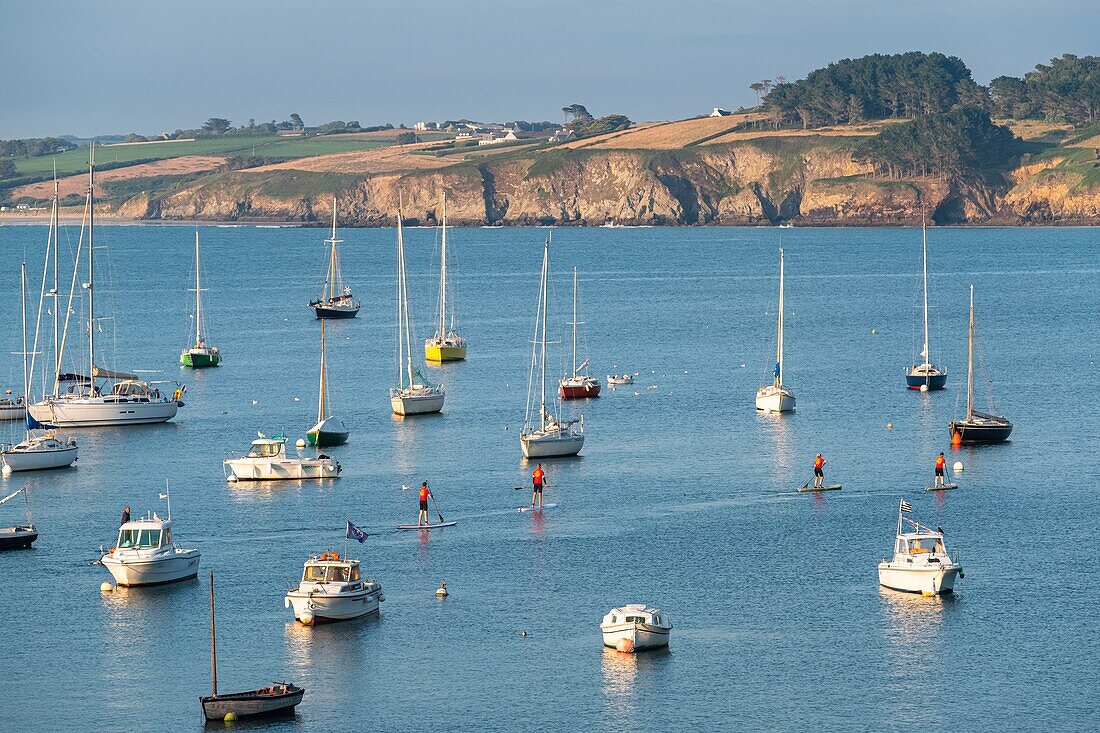 Frankreich, Finistere, Douarnenez, Stand up paddleboarding in der Bucht von Douarnenez