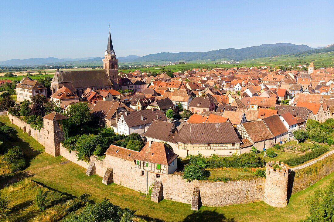 France, Haut Rhin, Alsace Wine Route, Bergheim, old fortified medieval city (aerial view)\n